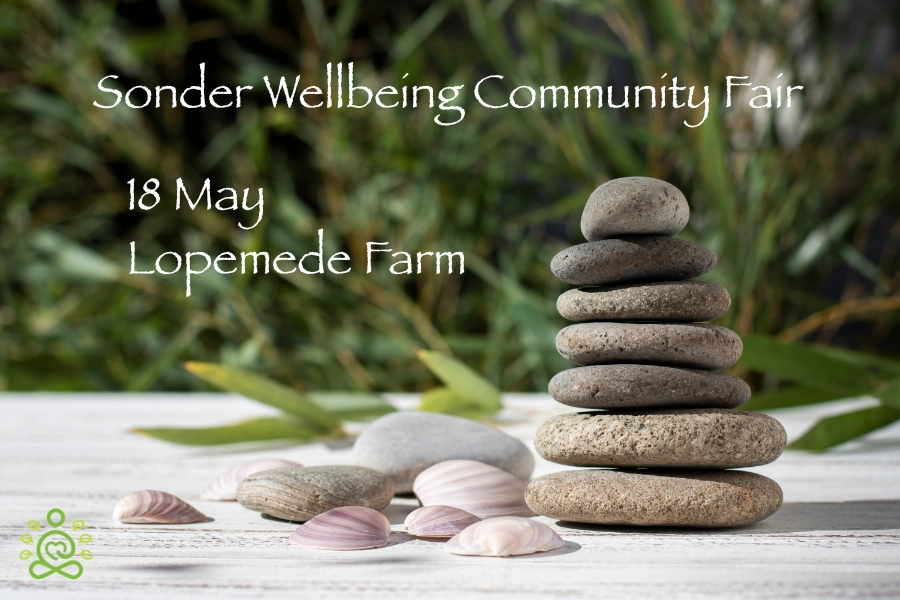 Sonder Wellbeing Community Fair